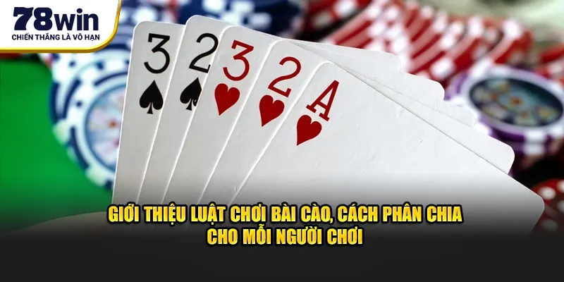 Giới thiệu luật chơi bài cào, cách phân chia cho mỗi người chơi